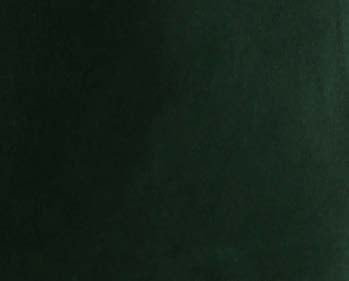Velvet Slim Fit Tuxedo Jacket Green
